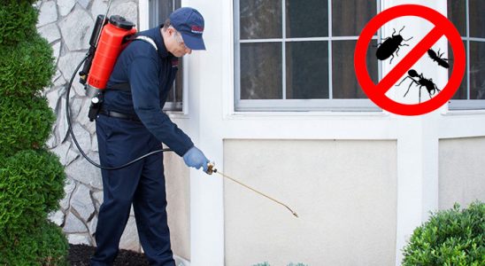 Kızılcahamam Böcek İlaçlama böcek ilaçlama ve haşere kontrolü — ilaclama-tr.com